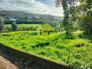 Terreno para Venda em São Martinho de Árvore e Lamarosa