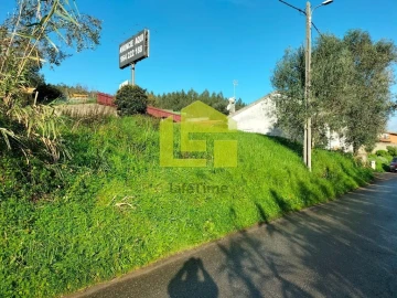 Terreno para Venda em São Martinho de Árvore e Lamarosa