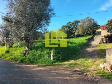 Terreno para Venda em São Martinho de Árvore e Lamarosa