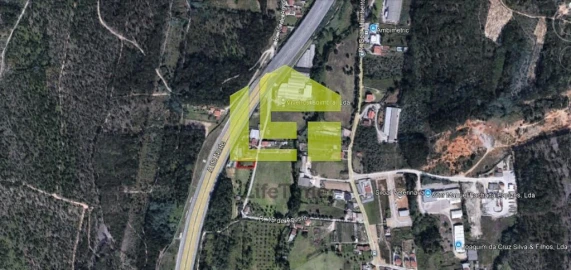 Terreno para Venda em São Martinho de Árvore e Lamarosa
