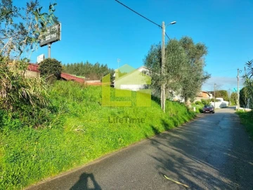 Terreno para Venda em São Martinho de Árvore e Lamarosa
