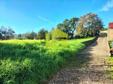 Terreno para Venda em São Martinho de Árvore e Lamarosa