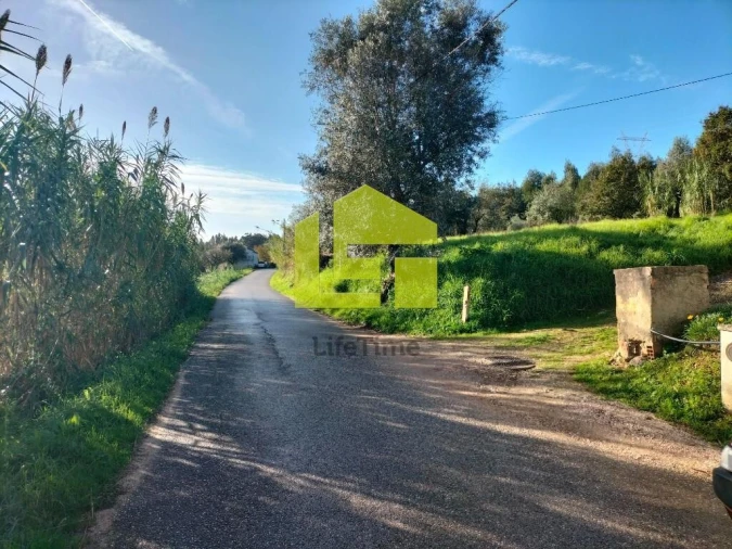 Terreno para Venda em São Martinho de Árvore e Lamarosa Foto 8