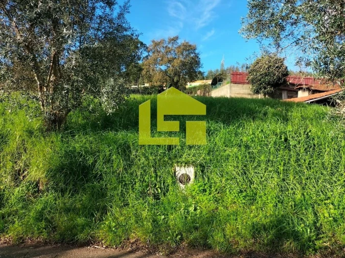 Terreno para Venda em São Martinho de Árvore e Lamarosa Foto 10