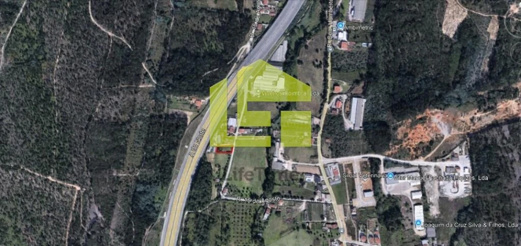 Terreno para Venda em São Martinho de Árvore e Lamarosa Foto 13