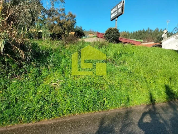 Terreno para Venda em São Martinho de Árvore e Lamarosa Foto 2