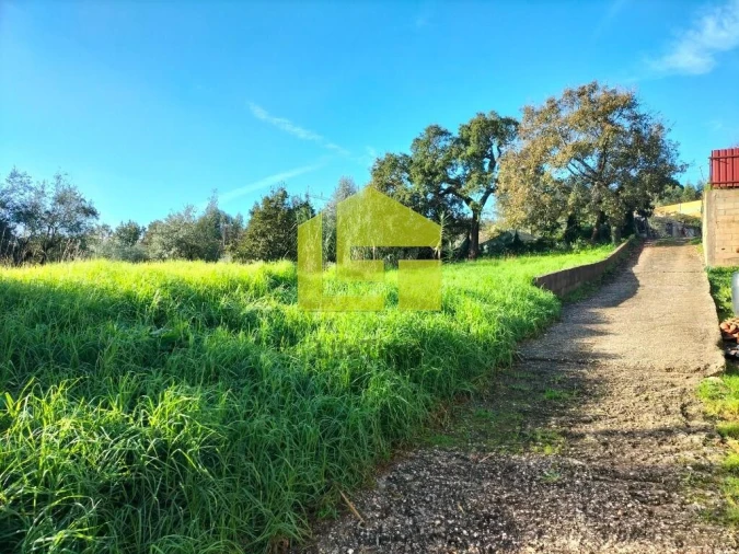 Terreno para Venda em São Martinho de Árvore e Lamarosa Foto 4