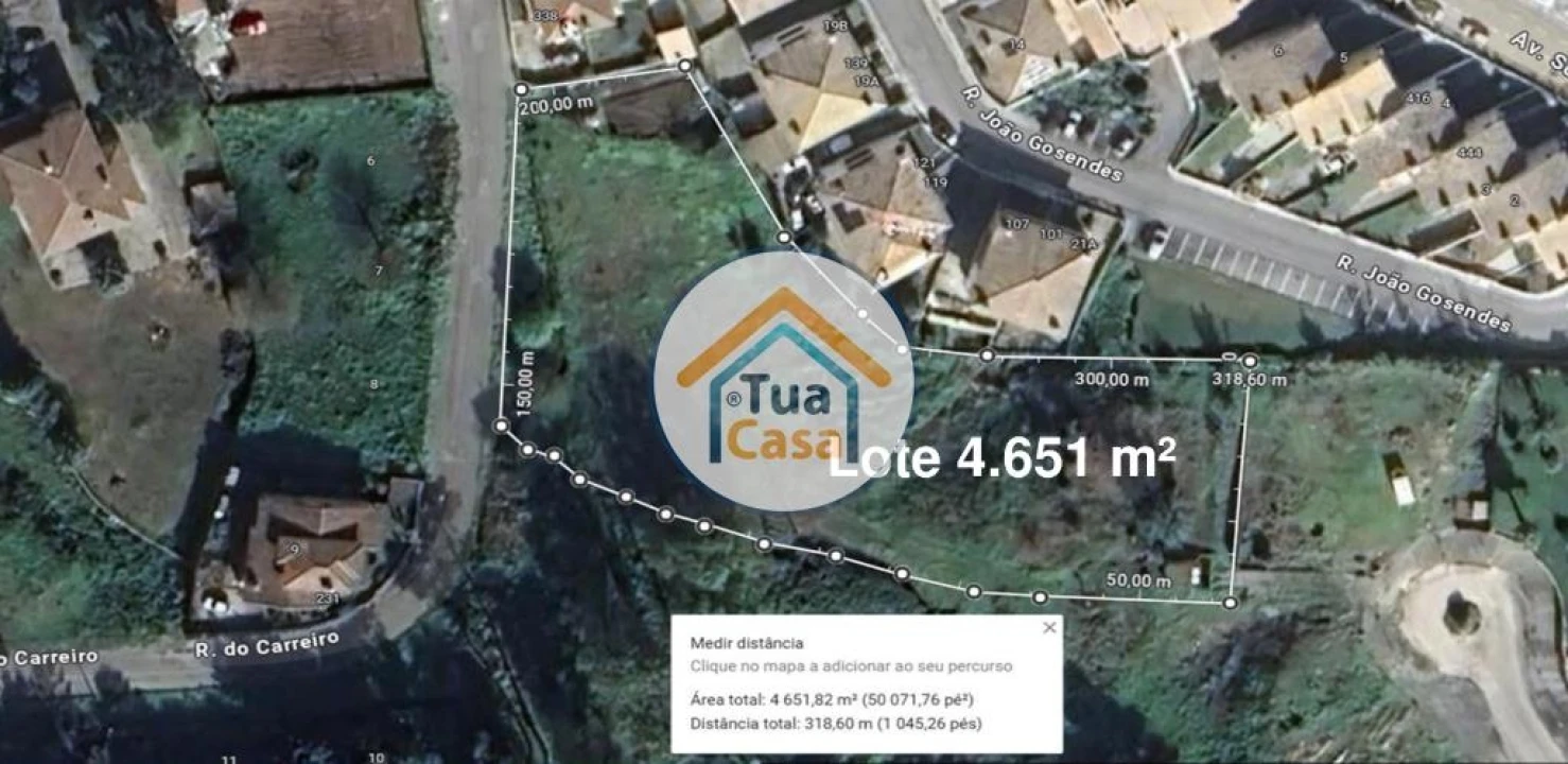 Terreno para Venda em Pinheiro da Bemposta, Travanca e Palmaz Foto 1