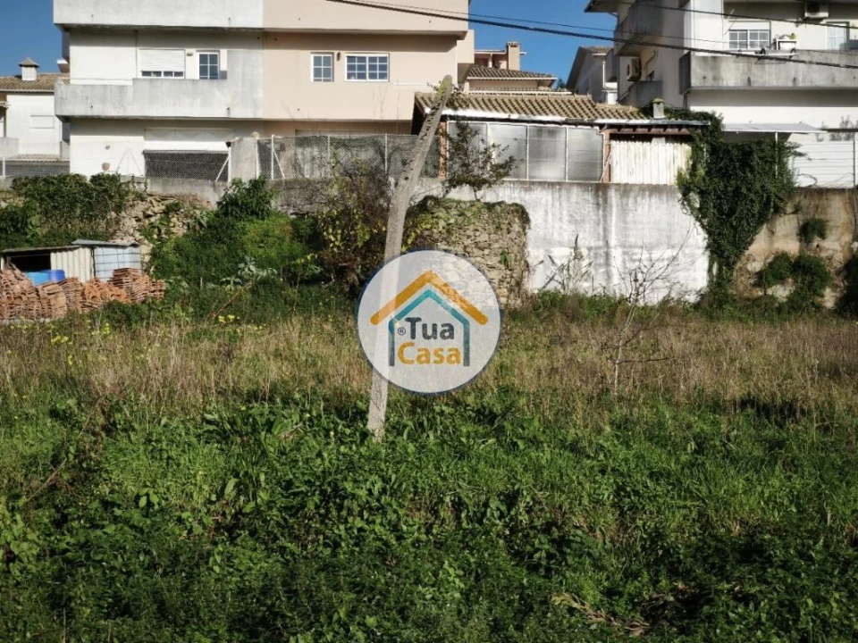 Terreno para Venda em Pinheiro da Bemposta, Travanca e Palmaz Foto 8