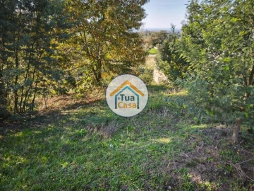 Terreno para Venda em Pinheiro da Bemposta, Travanca e Palmaz