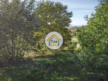 Terreno para Venda em Pinheiro da Bemposta, Travanca e Palmaz