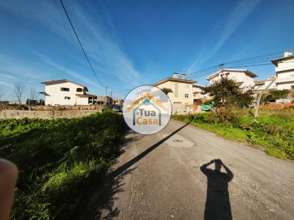 Terreno para Venda em Pinheiro da Bemposta, Travanca e Palmaz Foto 6