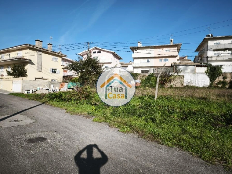 Terreno para Venda em Pinheiro da Bemposta, Travanca e Palmaz Foto 9