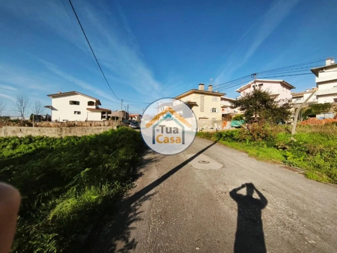Terreno para Venda em Pinheiro da Bemposta, Travanca e Palmaz Foto 6