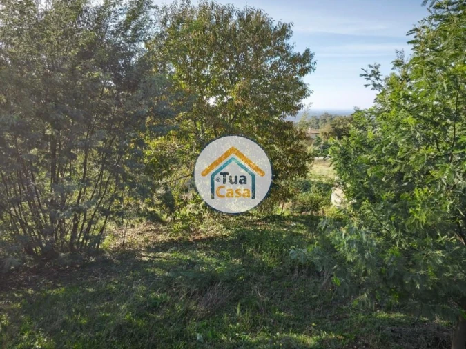Terreno para Venda em Pinheiro da Bemposta, Travanca e Palmaz Foto 3