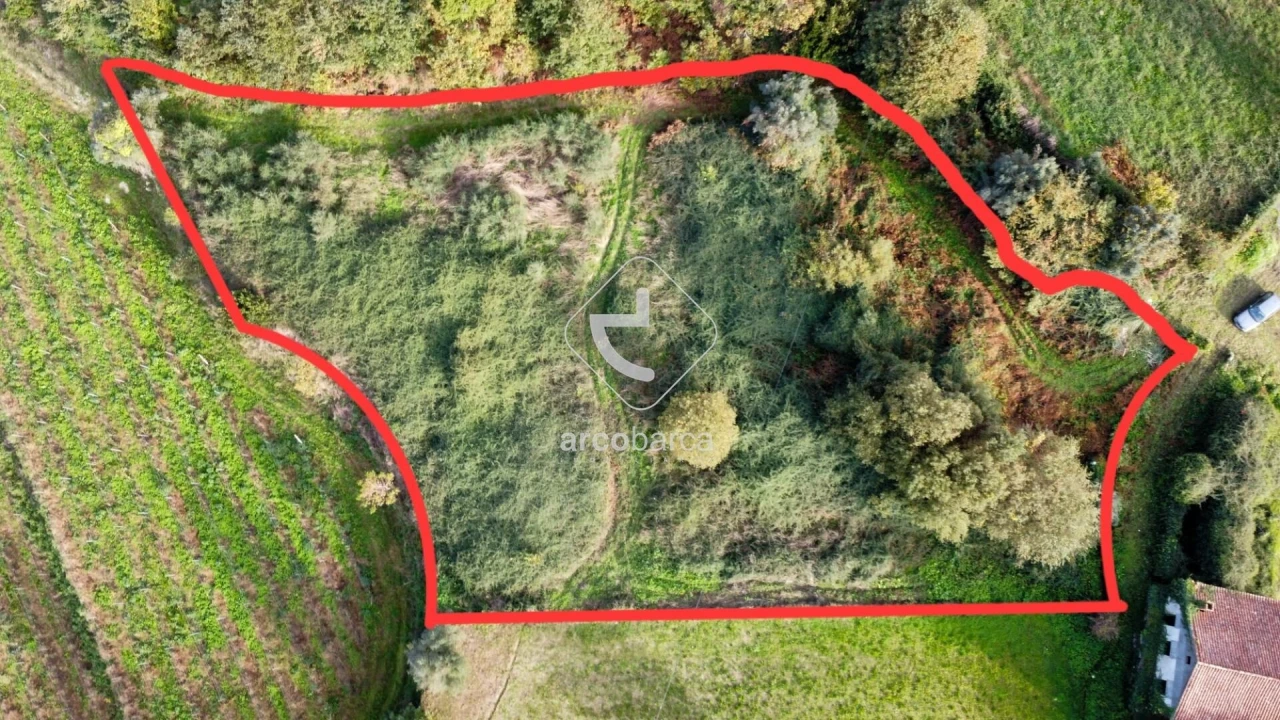 Terreno para Venda em Gondufe Foto 5