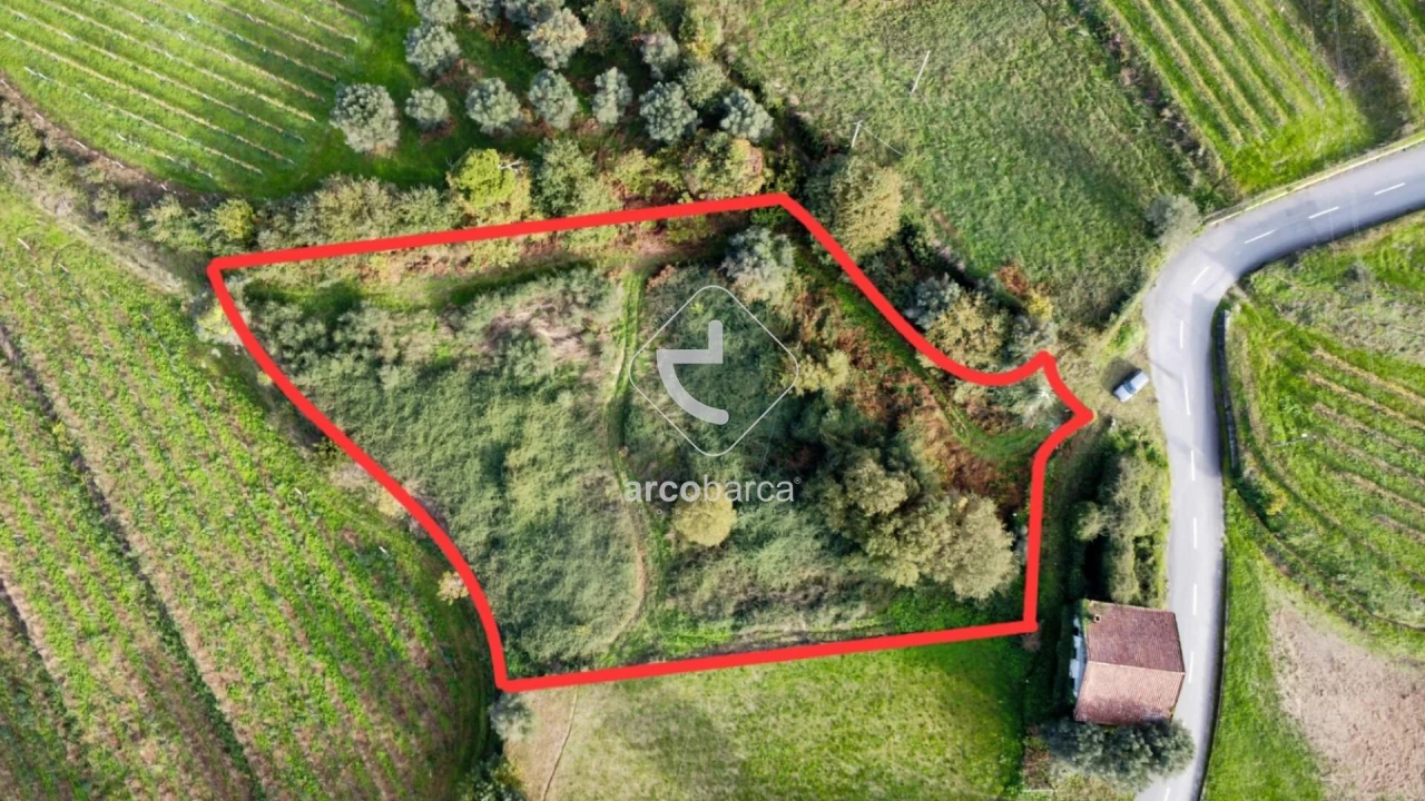 Terreno para Venda em Gondufe Foto 1