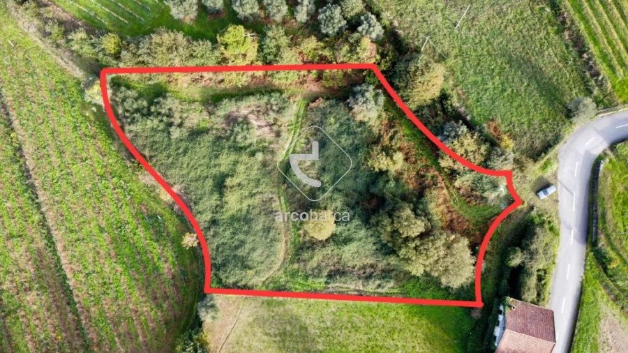 Terreno para Venda em Gondufe Foto 3