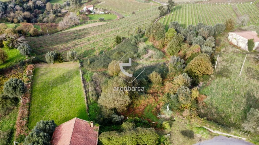 Terreno para Venda em Gondufe Foto 6