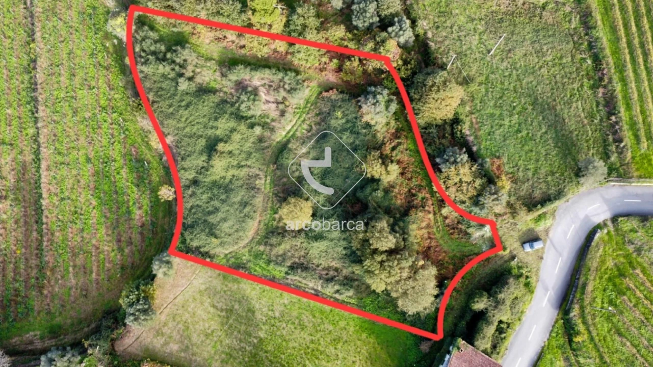 Terreno para Venda em Gondufe Foto 4