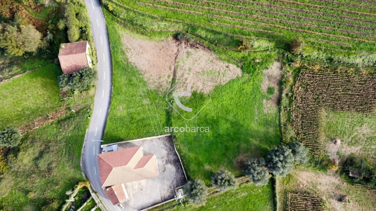 Terreno para Venda em Gondufe Foto 11