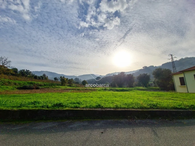 Terreno para Venda em Gondufe Foto 4