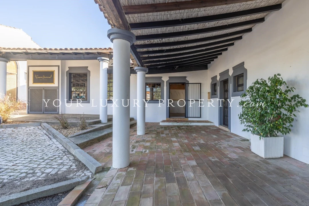 Negócio para Venda em Almancil Foto 14