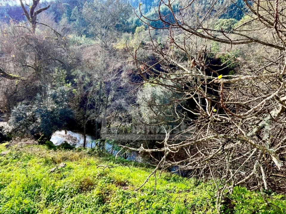 Negócio para Venda em Aguda Foto 37