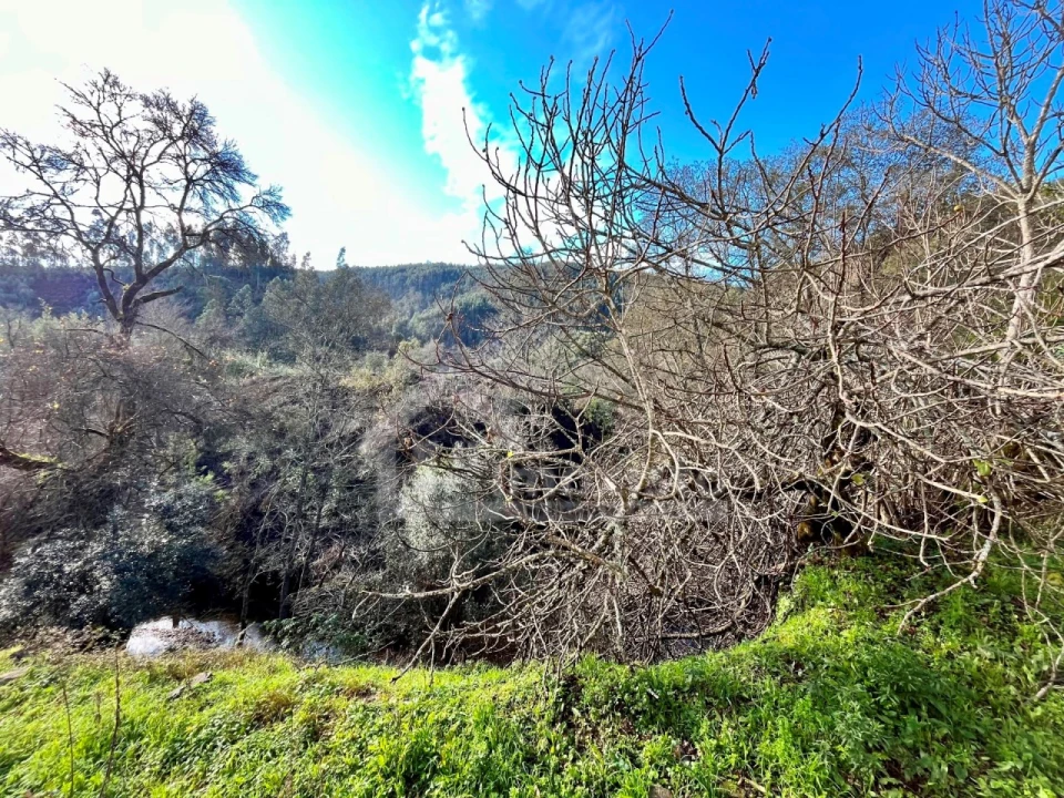 Negócio para Venda em Aguda Foto 40