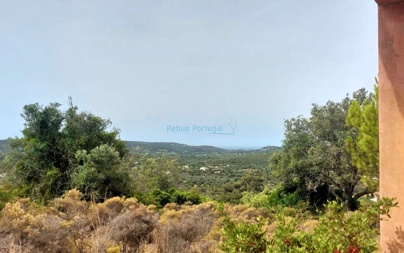 Terreno Misto para Venda em Santa Barbara de Nexe Foto 19