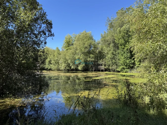 Moradia T1 para Venda em Campeã Foto 35