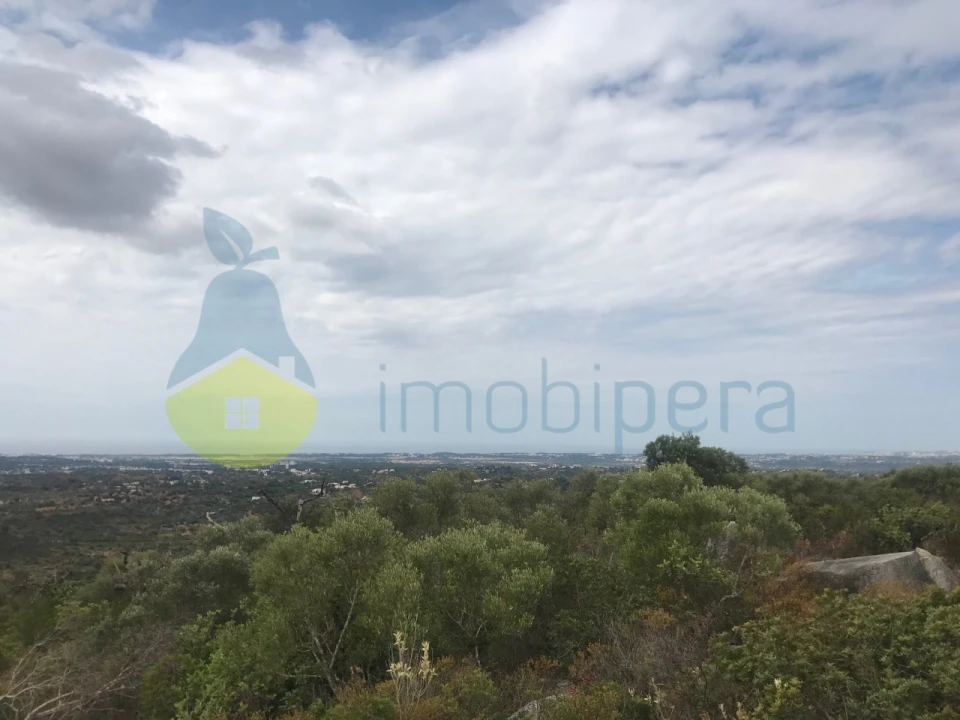 Terreno Agricola ou Rústico para Venda em Loule (São Sebastião) Foto 7