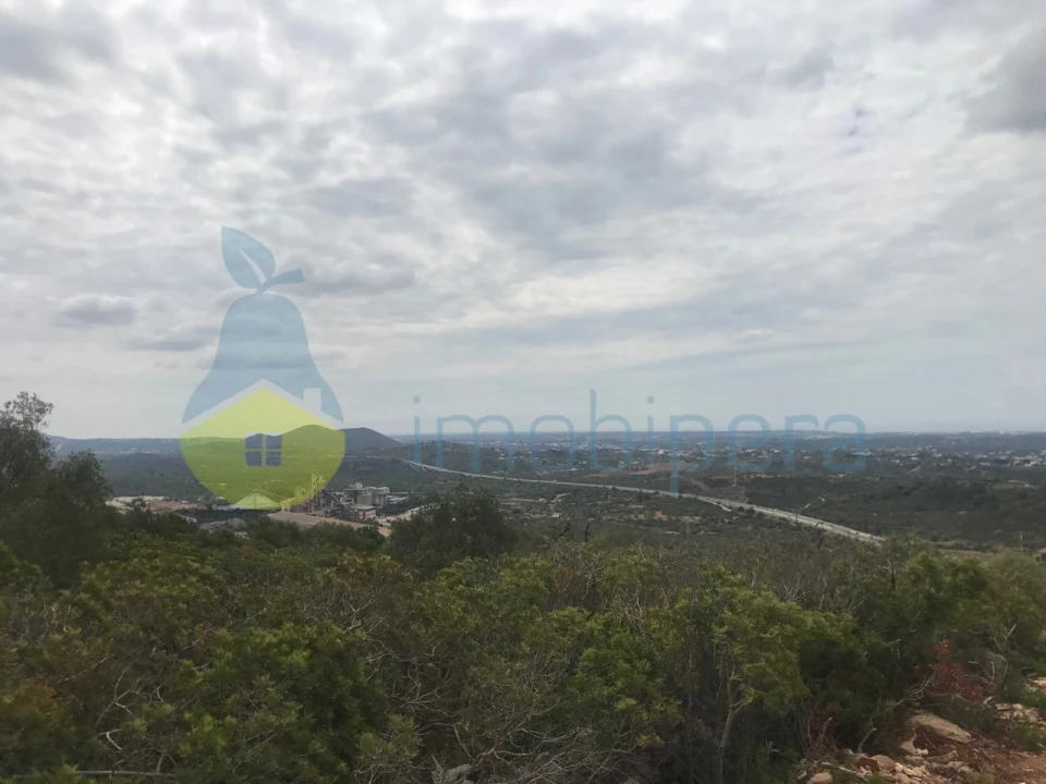 Terreno Agricola ou Rústico para Venda em Loule (São Sebastião) Foto 4