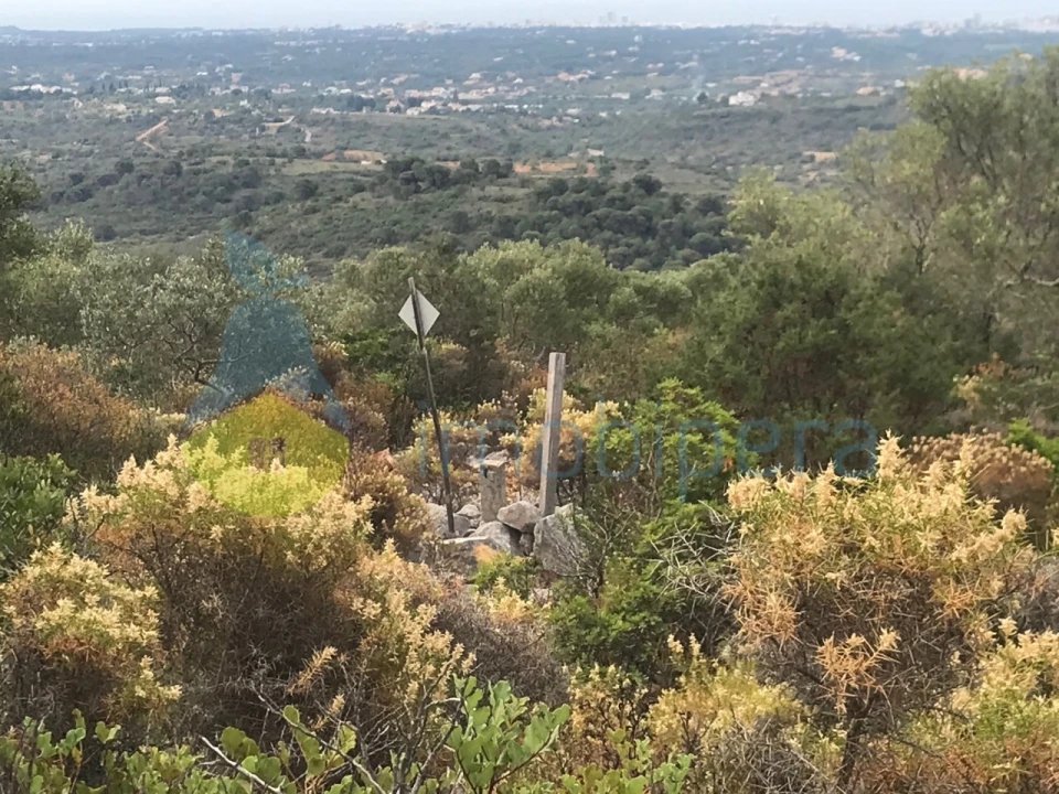 Terreno Agricola ou Rústico para Venda em Loule (São Sebastião) Foto 2