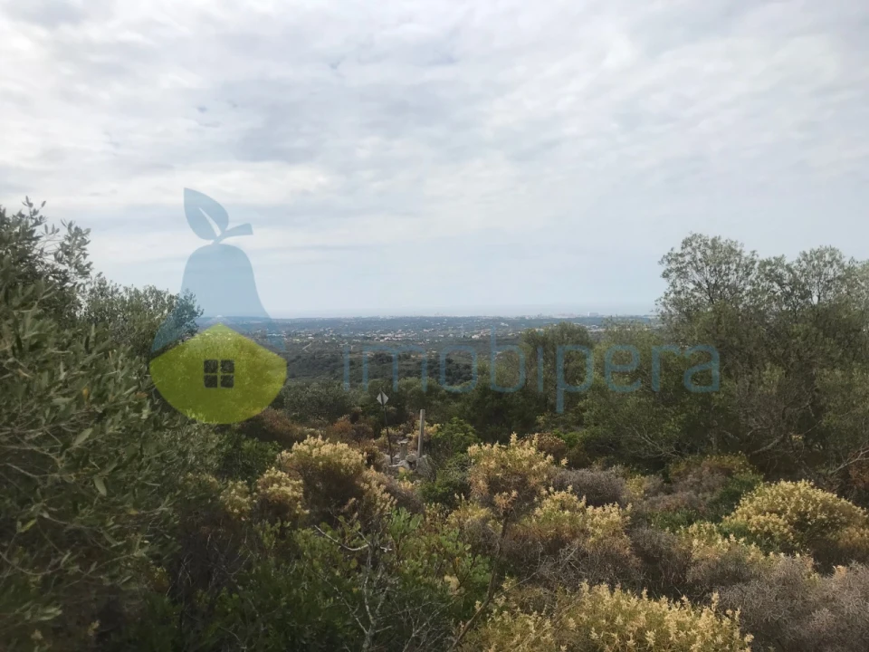 Terreno Agricola ou Rústico para Venda em Loule (São Sebastião) Foto 12