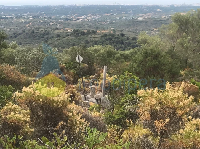 Terreno Agricola ou Rústico para Venda em Loule (São Sebastião) Foto 2