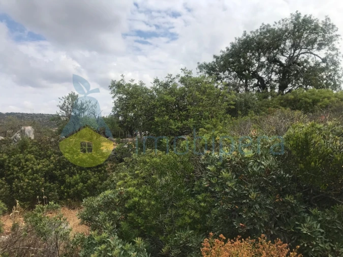 Terreno Agricola ou Rústico para Venda em Loule (São Sebastião) Foto 6