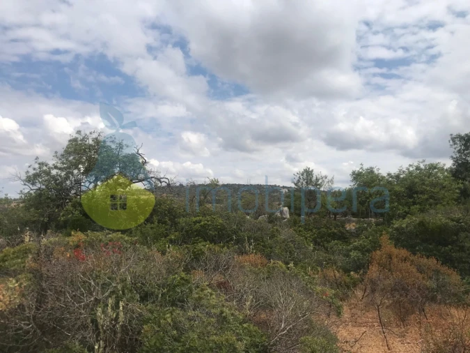 Terreno Agricola ou Rústico para Venda em Loule (São Sebastião) Foto 11