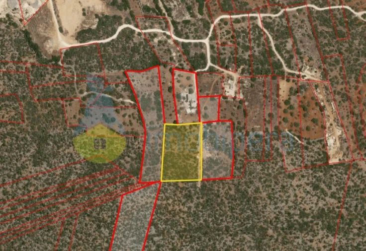 Terreno Agricola ou Rústico para Venda em Loule (São Sebastião) Foto 5