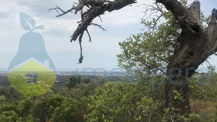 Terreno Agricola ou Rústico para Venda em Loule (São Sebastião)