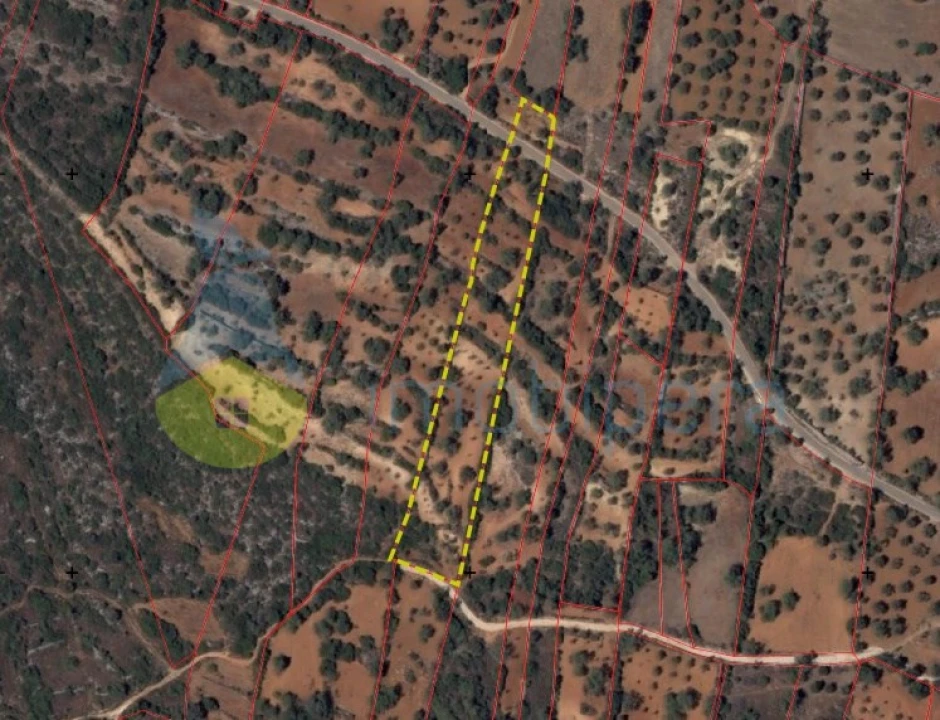 Terreno Agricola ou Rústico para Venda em Boliqueime Foto 11