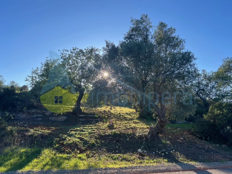Terreno Agricola ou Rústico para Venda em Boliqueime Foto 3