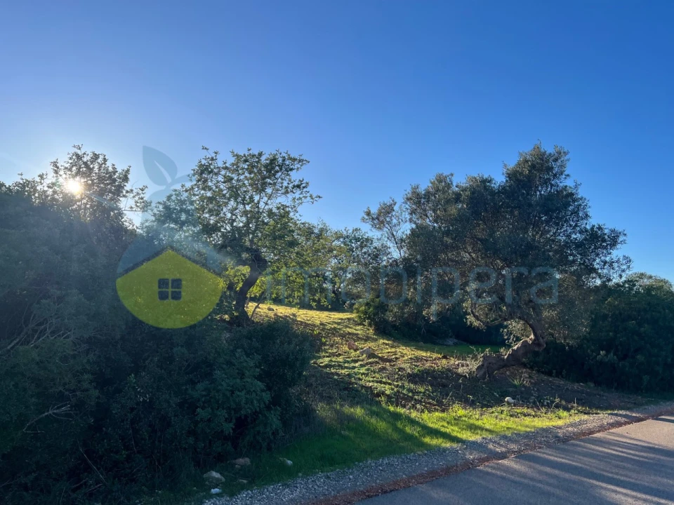 Terreno Agricola ou Rústico para Venda em Boliqueime Foto 5