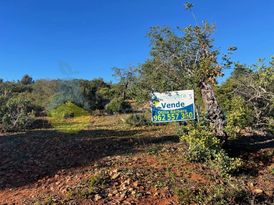 Terreno Agricola ou Rústico para Venda em Boliqueime Foto 2