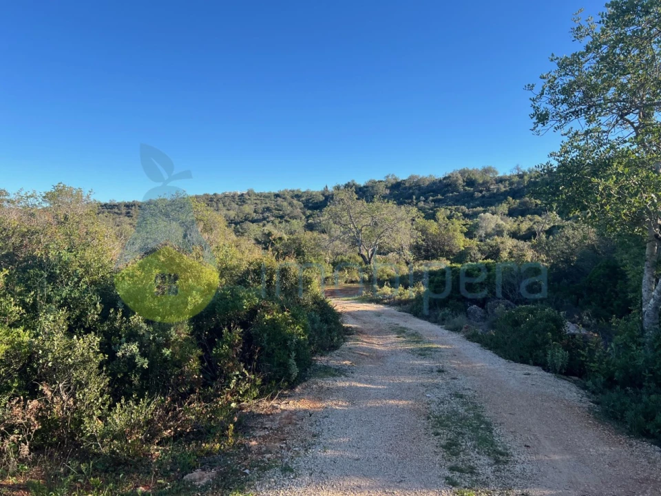 Terreno Agricola ou Rústico para Venda em Boliqueime Foto 7