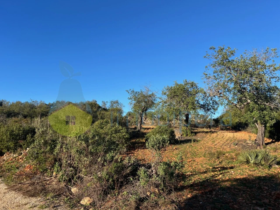 Terreno Agricola ou Rústico para Venda em Boliqueime Foto 8