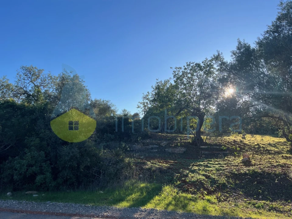 Terreno Agricola ou Rústico para Venda em Boliqueime Foto 12