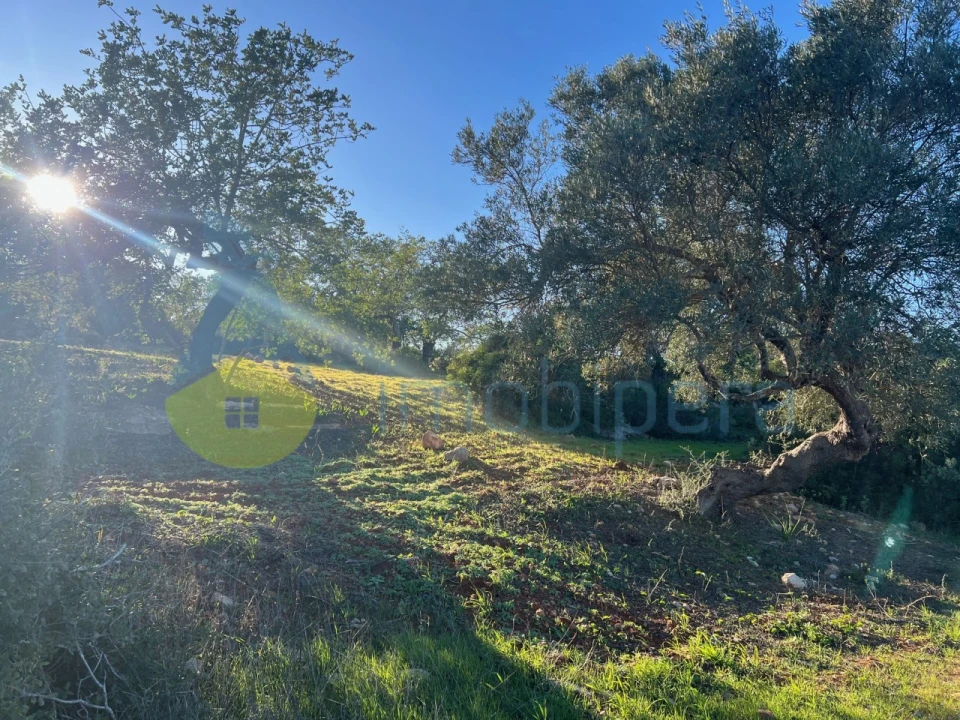 Terreno Agricola ou Rústico para Venda em Boliqueime Foto 4