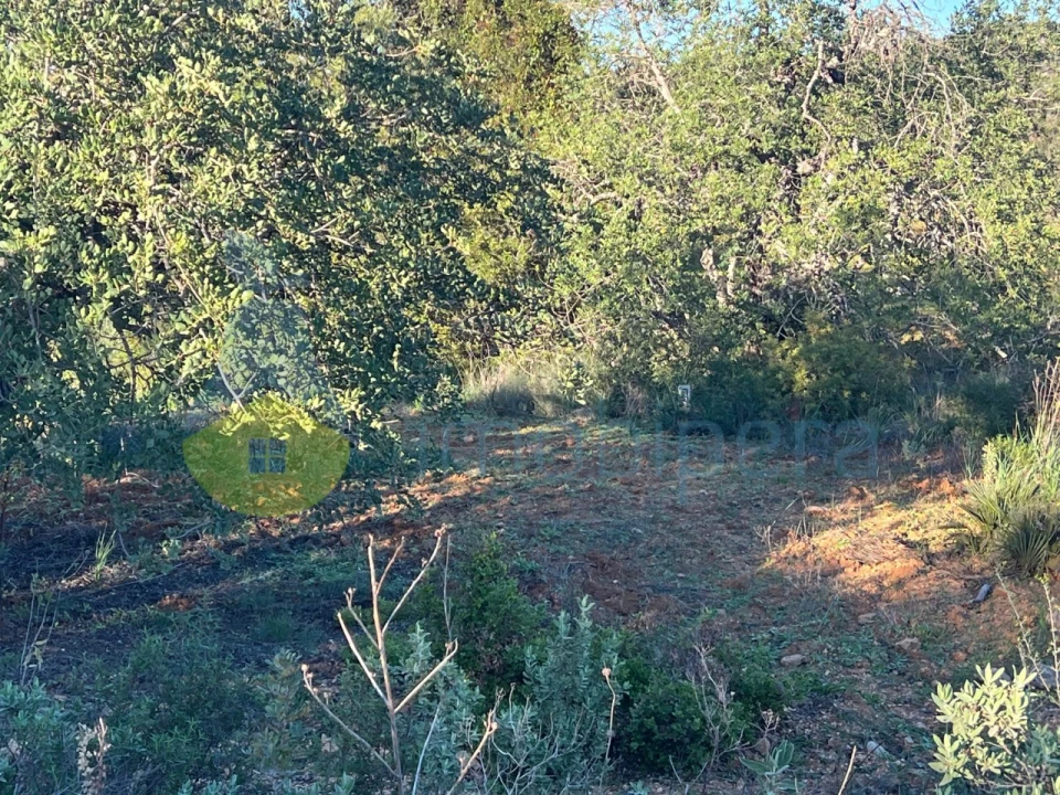 Terreno Agricola ou Rústico para Venda em Boliqueime Foto 15