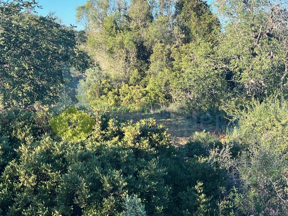 Terreno Agricola ou Rústico para Venda em Boliqueime Foto 16